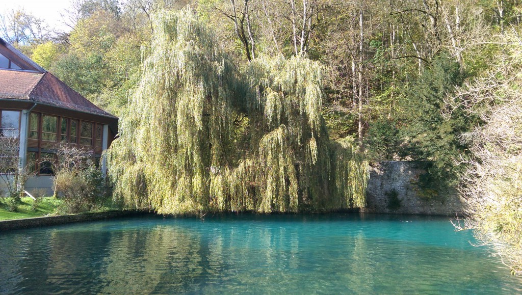 IMAG0997
